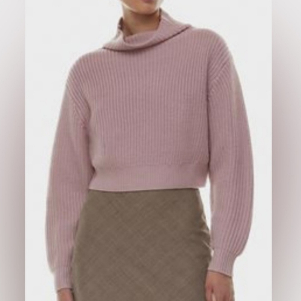 Aritzia Wilfred Rebecca Merino wool cropped turtleneck